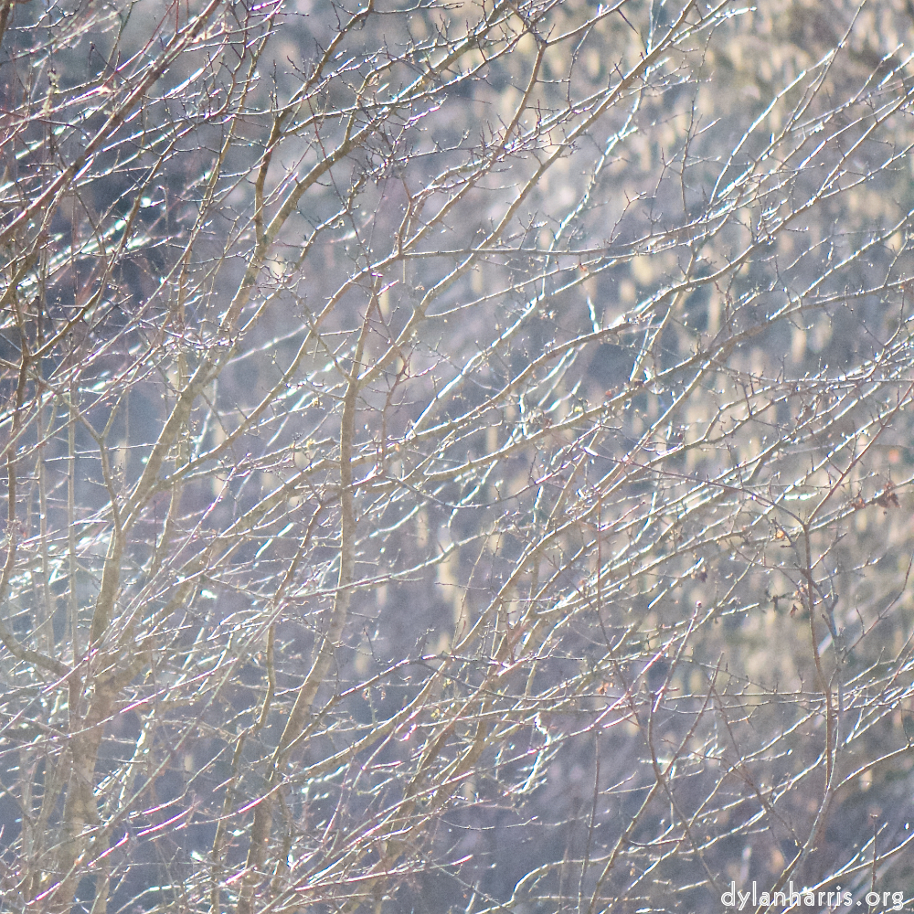 image: This is &lsquo;texture (iv) 1&rsquo;.