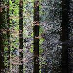 image: Image from the photoset &lsquo;terres rouges (viii)&rsquo;.