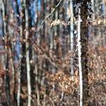 image: Image from the photoset &lsquo;terres rouges (viii)&rsquo;.