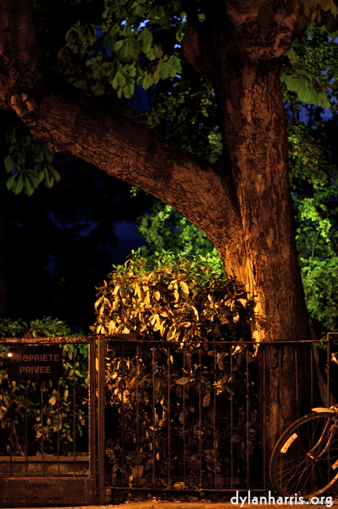 image: This is &lsquo;paris (v) 3&rsquo;.