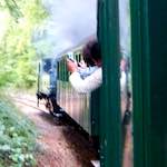 image: Image from the photoset &lsquo;train (x)&rsquo;.