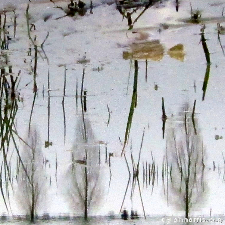 image: This is &lsquo;eindhoven (ii) 2&rsquo;.