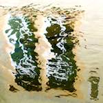 image: Image from the photoset &lsquo;freiburg im breisgau&rsquo;.
