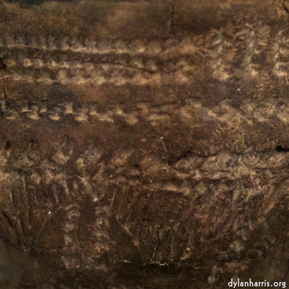 image: This is &lsquo;museum (i) 1&rsquo;.