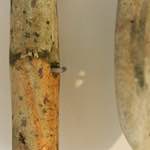 image: Image from the photoset &lsquo;museum (i)&rsquo;.