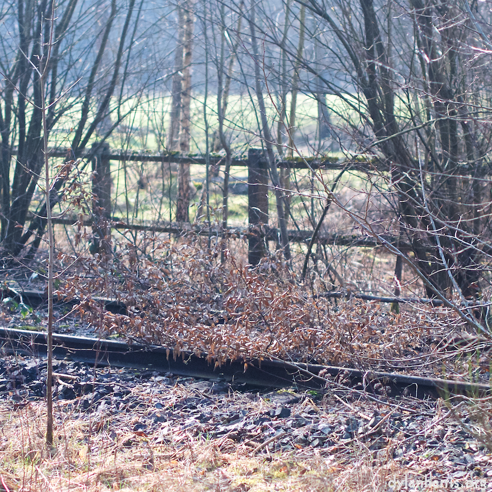 image: This is &lsquo;train (xvi) 6&rsquo;.