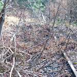 image: Image from the photoset &lsquo;train (xvi)&rsquo;.