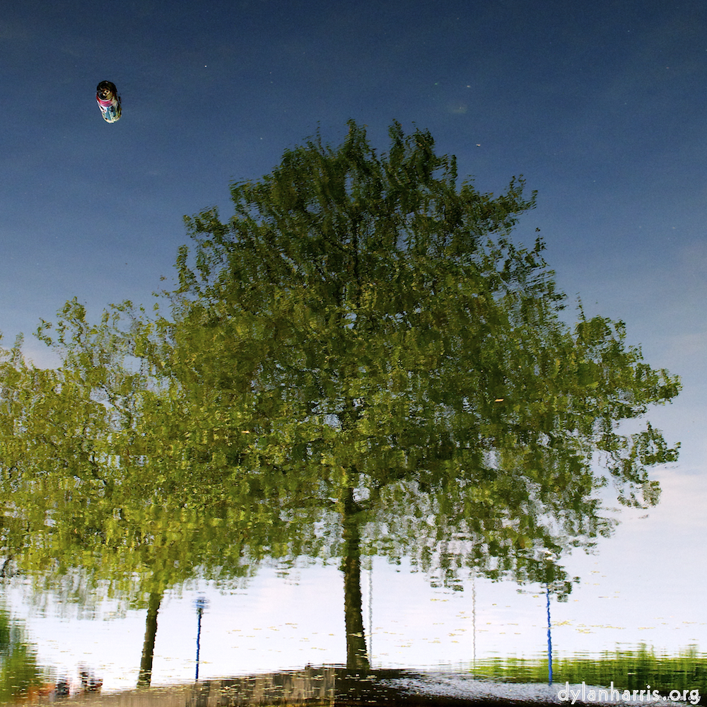 image: This is &lsquo;eindhoven (vii) 1&rsquo;.
