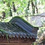image: Image from the photoset &lsquo;tanzhe temple (iv)&rsquo;.