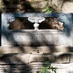 image: Image from the photoset &lsquo;tanzhe temple (v)&rsquo;.