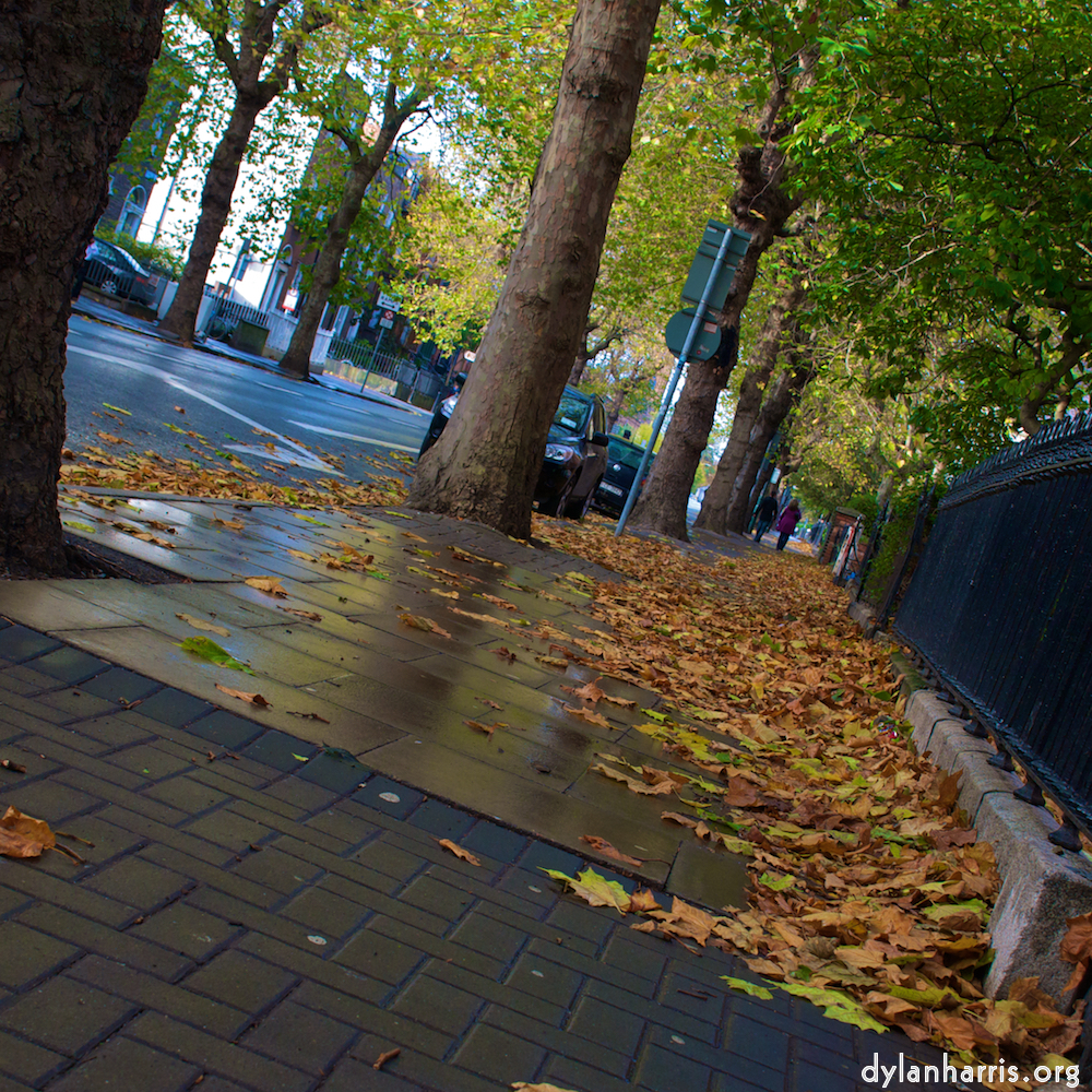 image: This is &lsquo;dublin (vi) 1&rsquo;.