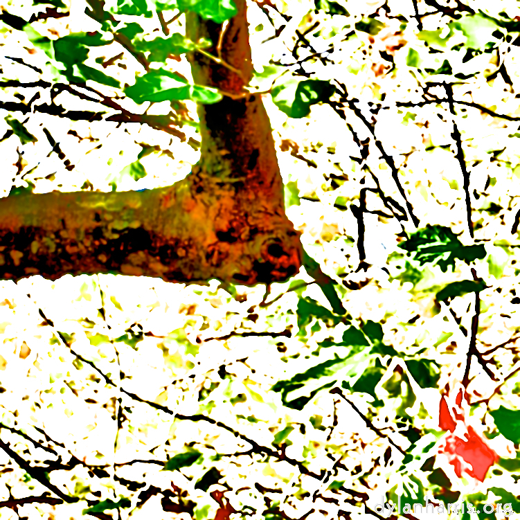 image: This is &lsquo;dublin (vi) 6&rsquo;.