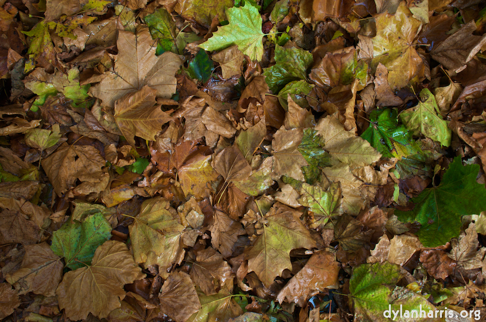 image: This is &lsquo;dublin (vi) 8&rsquo;.