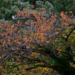 image: Image from the photoset &lsquo;dublin (vi)&rsquo;.