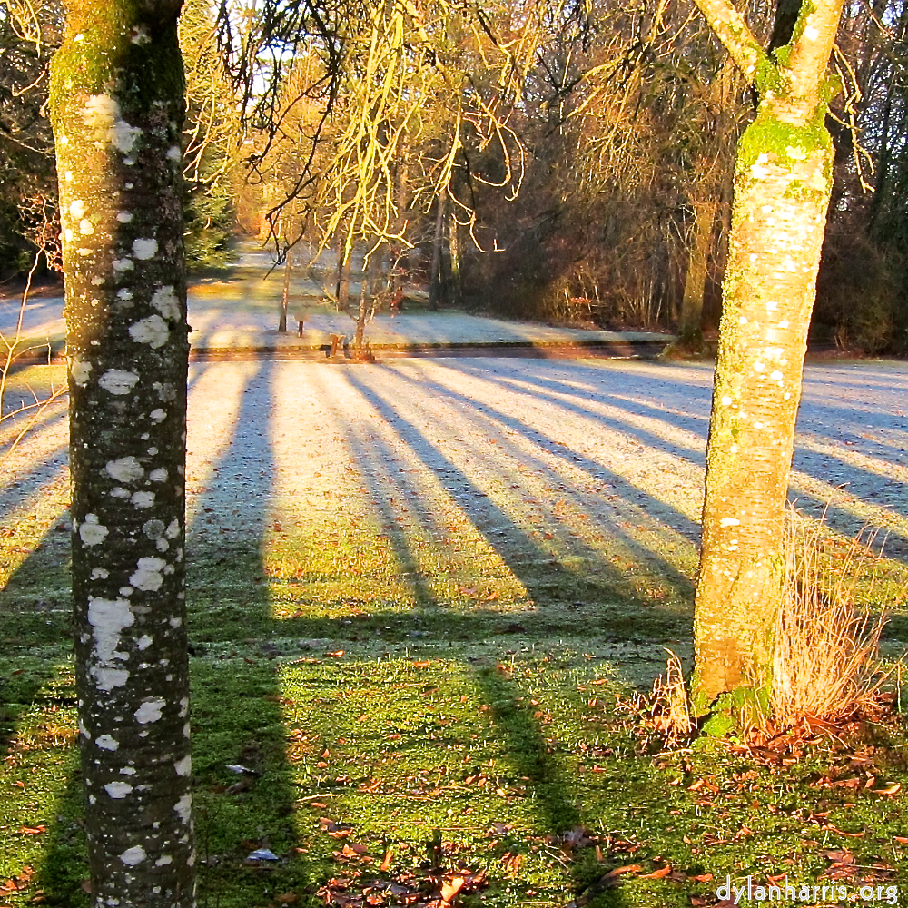 image: This is &lsquo;parc (xxxv) 1&rsquo;.