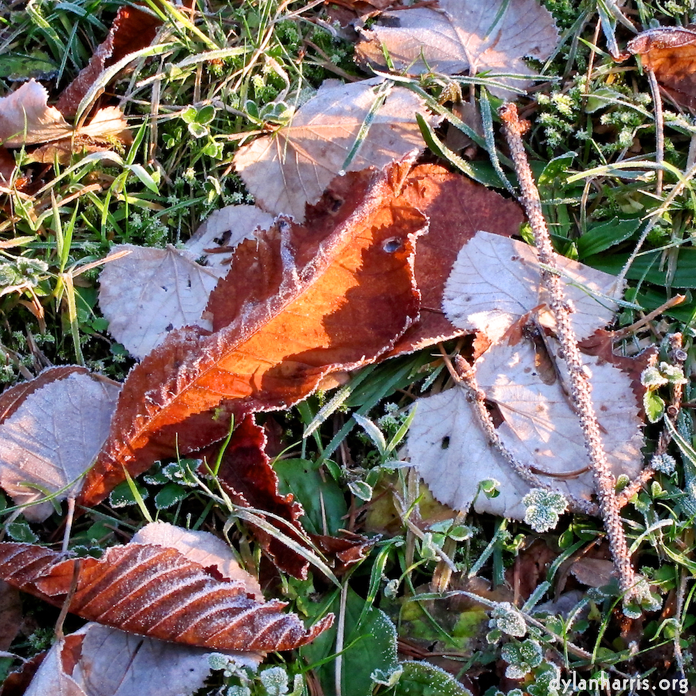 image: This is &lsquo;parc (xxxv) 3&rsquo;.