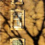 image: Image from the photoset &lsquo;parc (xxxv)&rsquo;.