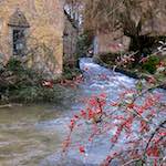 image: Image from the photoset &lsquo;gloucestershire&rsquo;.
