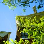 image: Image from the photoset &lsquo;amsterdam (vi)&rsquo;.
