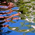 image: Image from the photoset &lsquo;amsterdam (vii)&rsquo;.