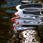 image: Image from the photoset &lsquo;amsterdam (viii)&rsquo;.
