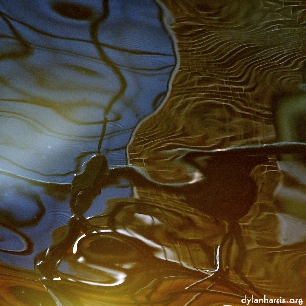 image: This is &lsquo;amsterdam (ix) 9&rsquo;.