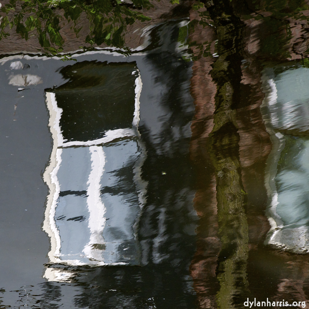 image: This is &lsquo;amsterdam (x) 1&rsquo;.