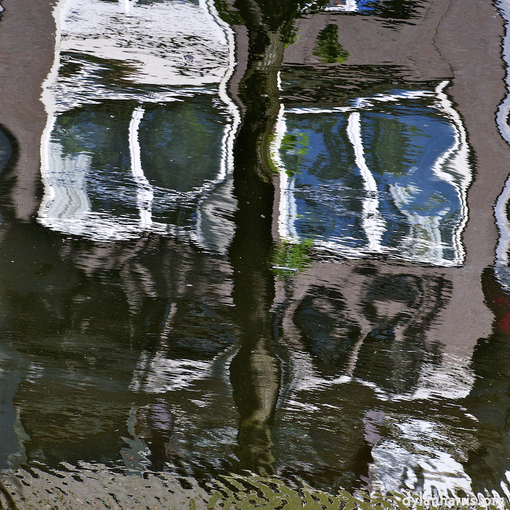 image: This is &lsquo;amsterdam (x) 5&rsquo;.