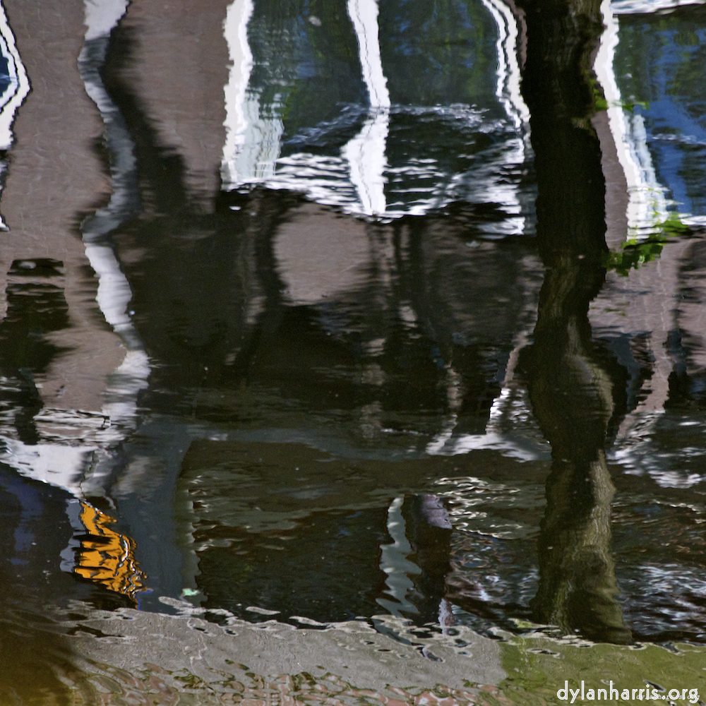 image: This is &lsquo;amsterdam (x) 6&rsquo;.
