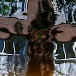 image: Image from the photoset &lsquo;amsterdam (x)&rsquo;.