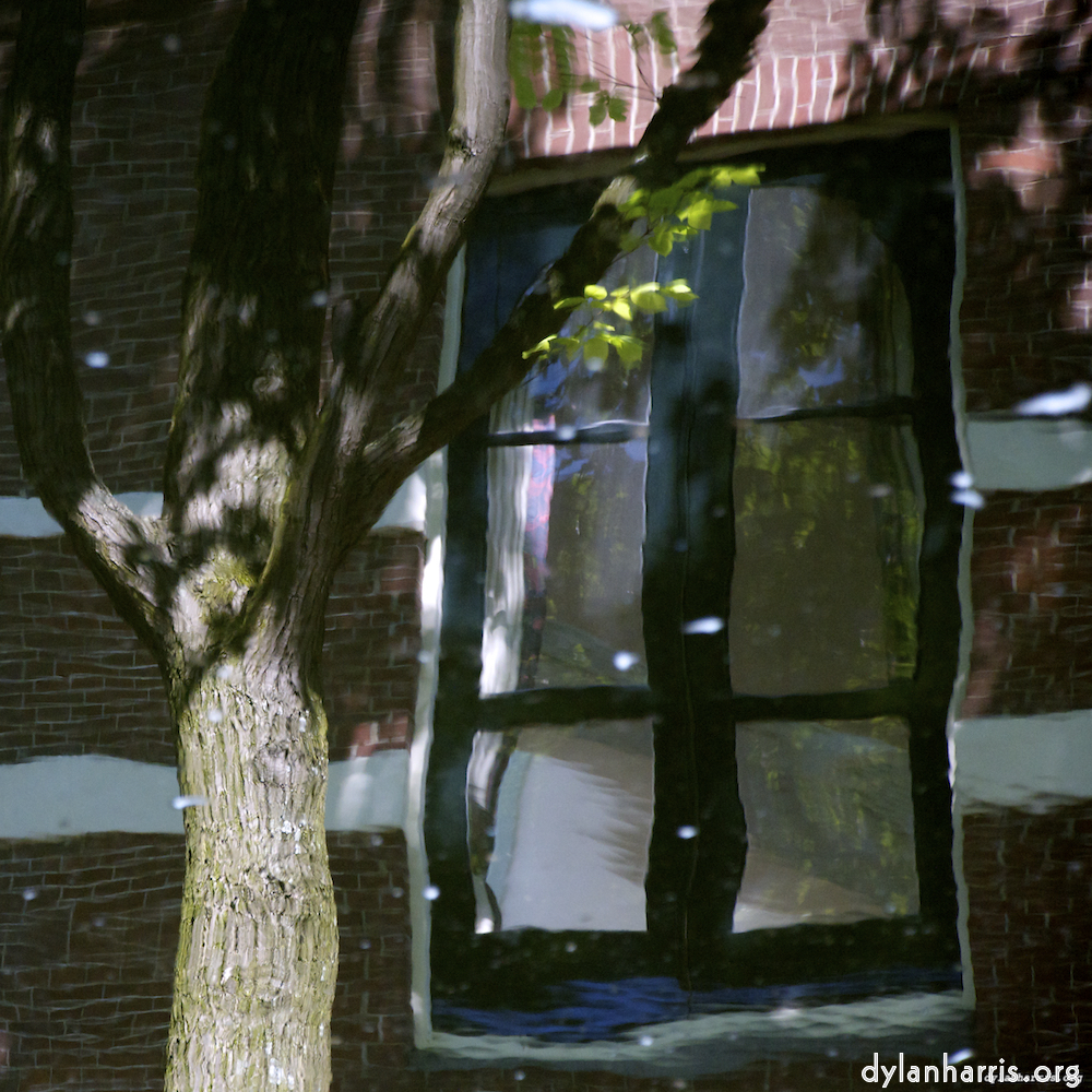 image: This is &lsquo;amsterdam (xi) 3&rsquo;.