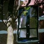 image: Image from the photoset &lsquo;amsterdam (xi)&rsquo;.