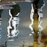 image: Image from the photoset &lsquo;amsterdam (xi)&rsquo;.