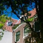 image: Image from the photoset &lsquo;amsterdam (xii)&rsquo;.