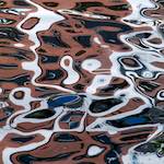 image: Image from the photoset &lsquo;amsterdam (xiii)&rsquo;.