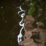 image: Image from the photoset &lsquo;amersfoort (i)&rsquo;.