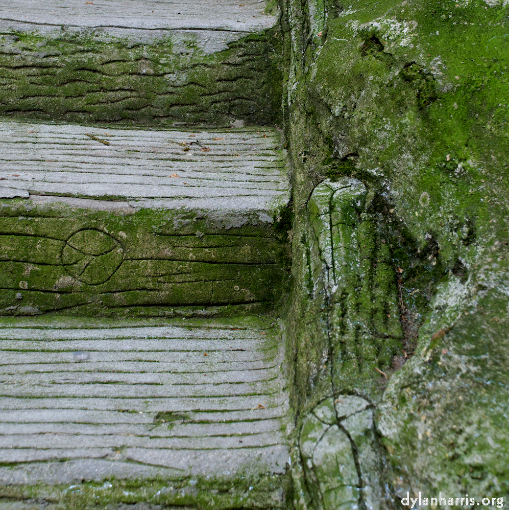 image: This is &lsquo;parc (ii) 2&rsquo;.
