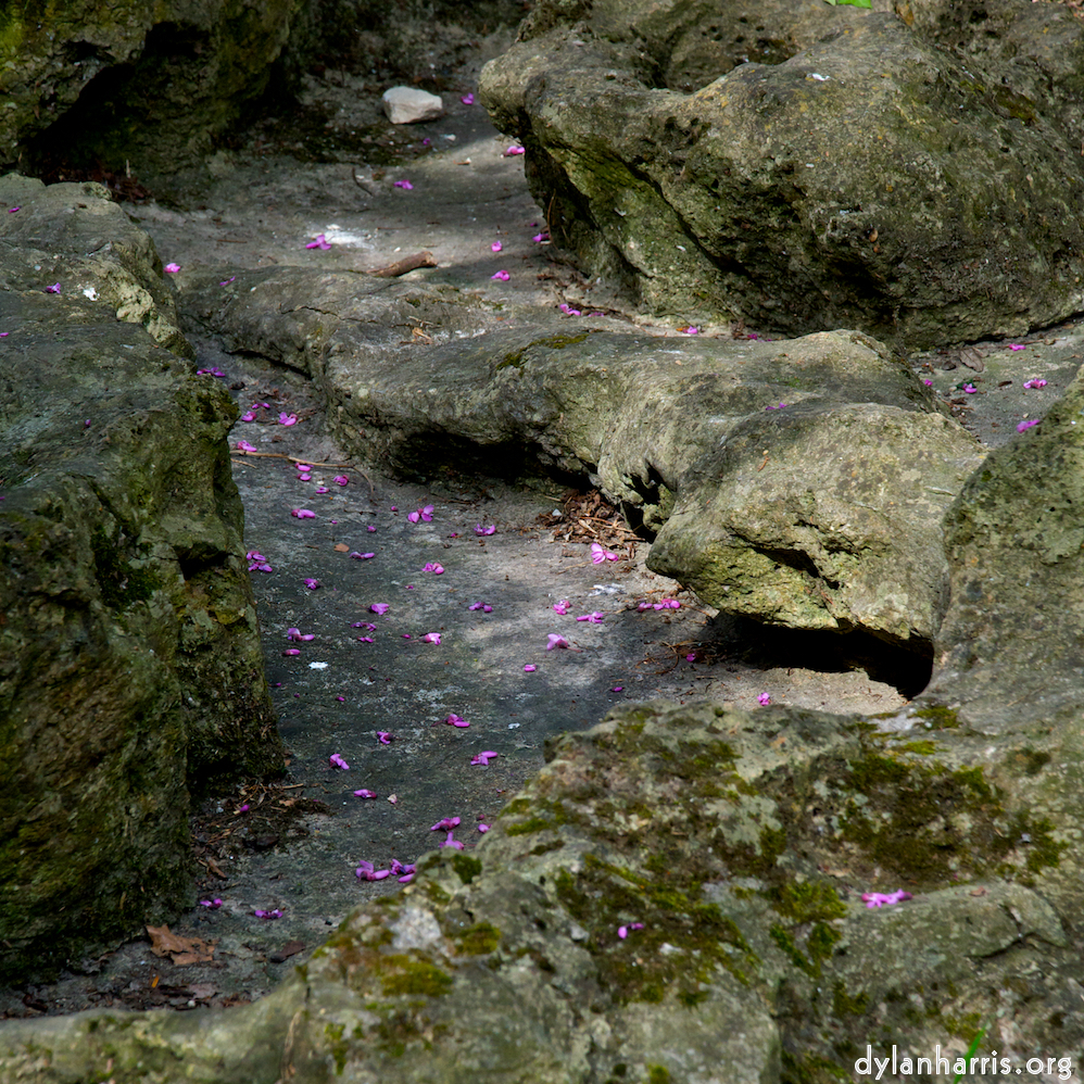 image: This is &lsquo;parc (ii) 3&rsquo;.