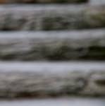 image: Image from the photoset &lsquo;parc (ii)&rsquo;.