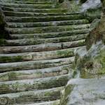 image: Image from the photoset &lsquo;parc (ii)&rsquo;.