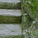 image: Image from the photoset &lsquo;parc (ii)&rsquo;.