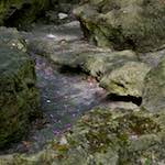image: Image from the photoset &lsquo;parc (ii)&rsquo;.