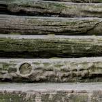 image: Image from the photoset &lsquo;parc (ii)&rsquo;.