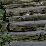 image: Image from the photoset &lsquo;parc (ii)&rsquo;.