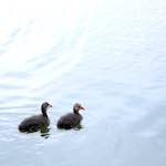 image: Image from the photoset &lsquo;eindhoven (viii)&rsquo;.