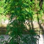 image: Image from the photoset &lsquo;terres rouges (iii)&rsquo;.