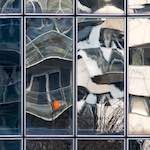 image: Image from the photoset &lsquo;la d&eacute;fense (xxiii)&rsquo;.