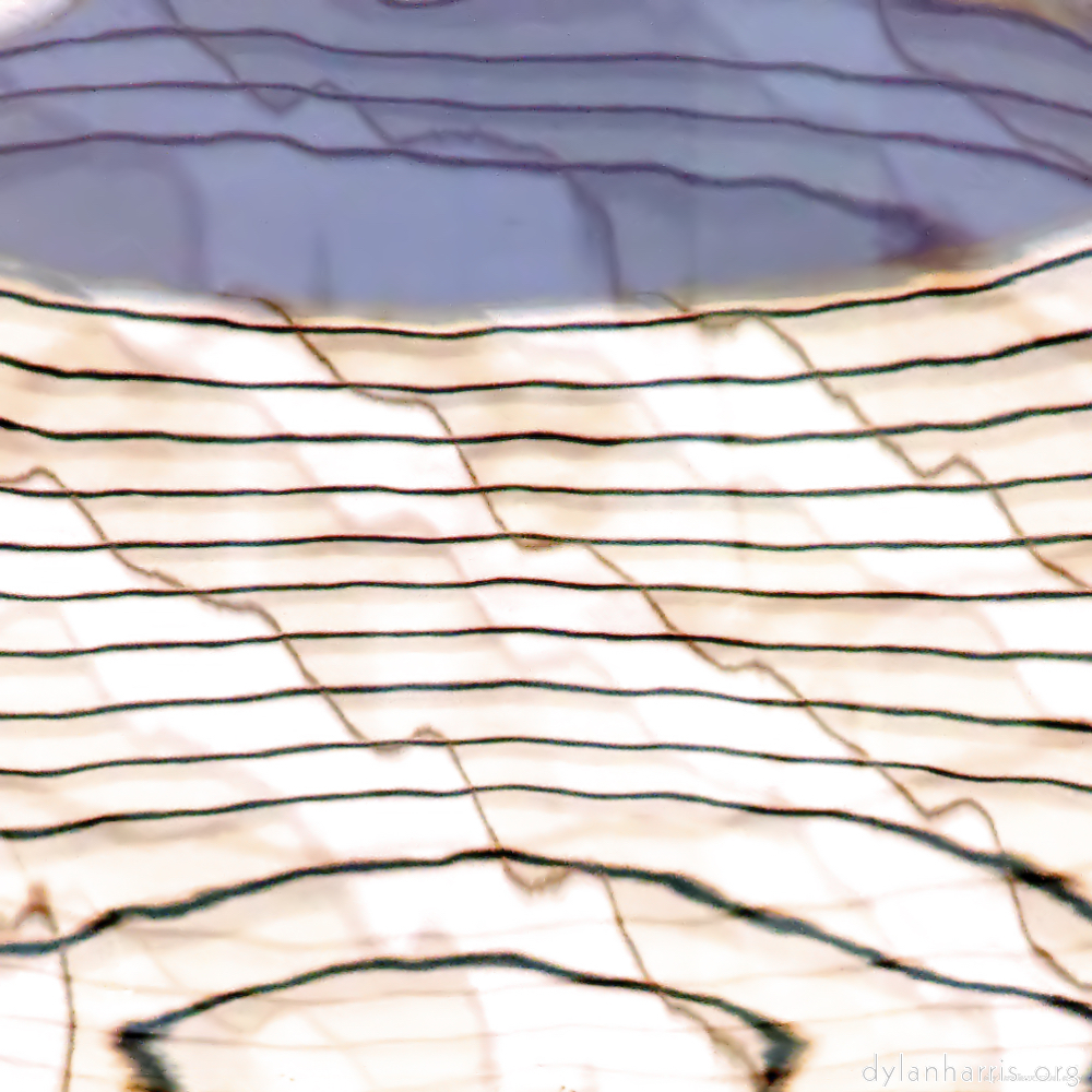 image: This is &lsquo;la d&eacute;fense (xxiv) 11&rsquo;.