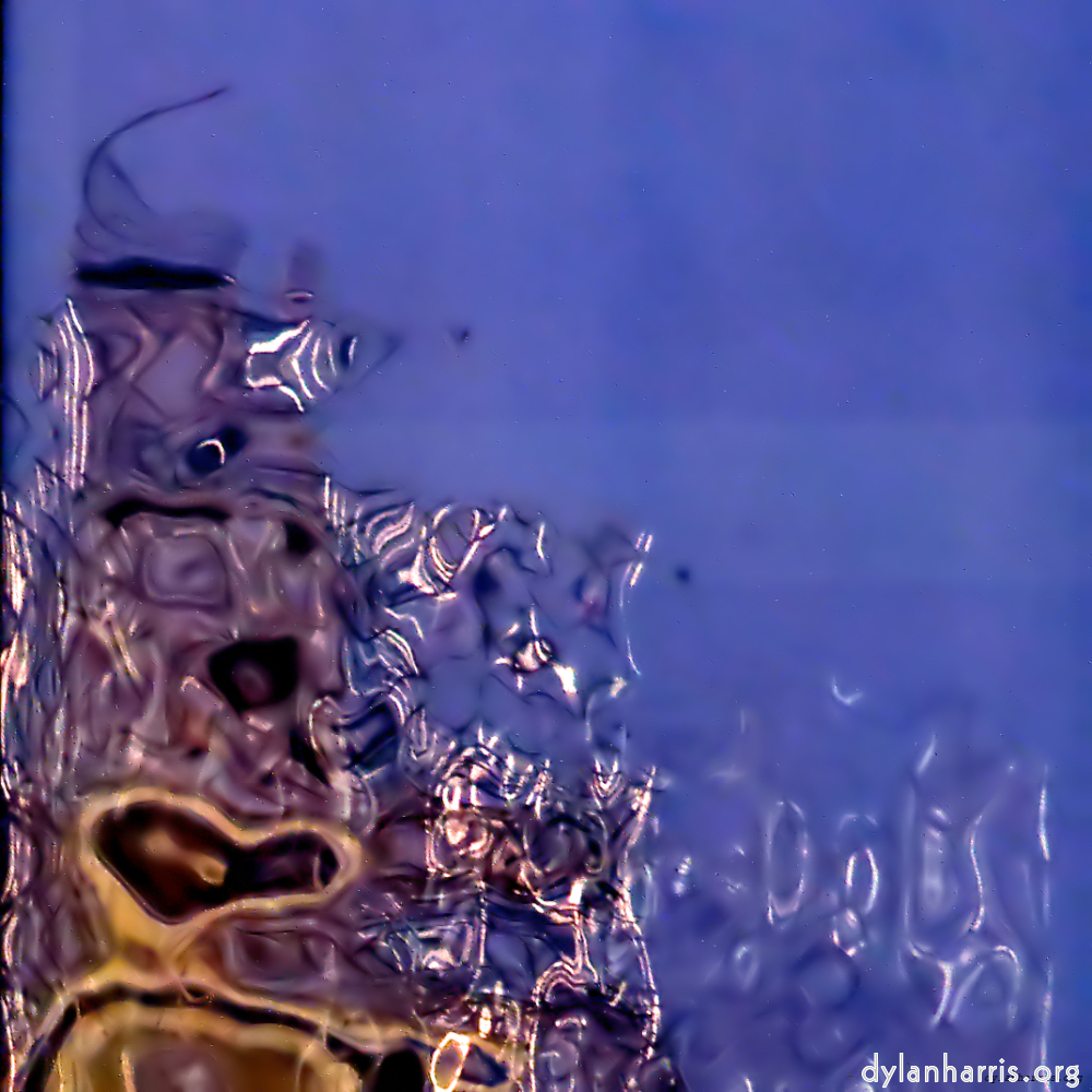 image: an image