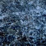 image: Image from the photoset &lsquo;parc (iii)&rsquo;.
